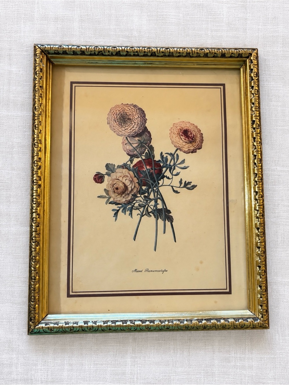 Vintage Botanical Floral Print Ornate Gold Frame 8x10 Cottagecore Wall Art